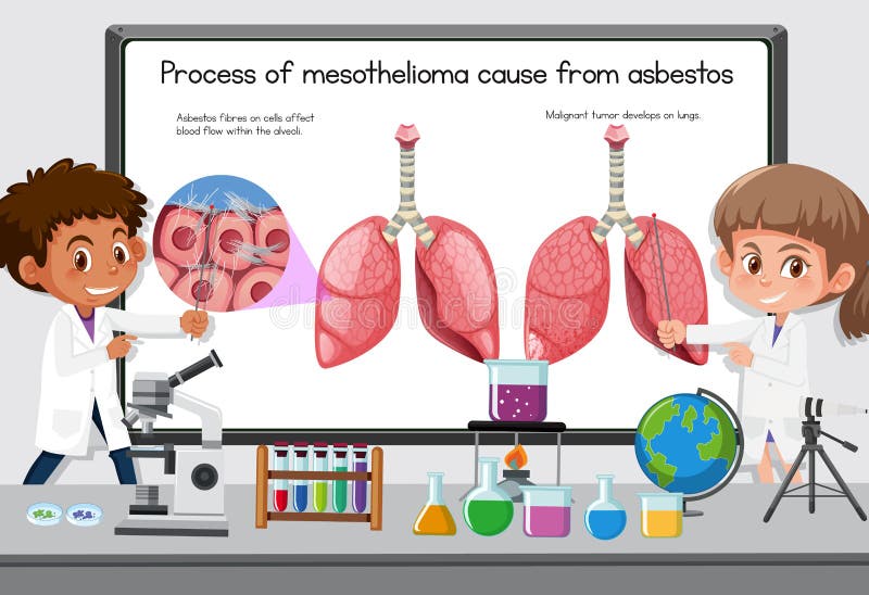 nutrition for mesothelioma