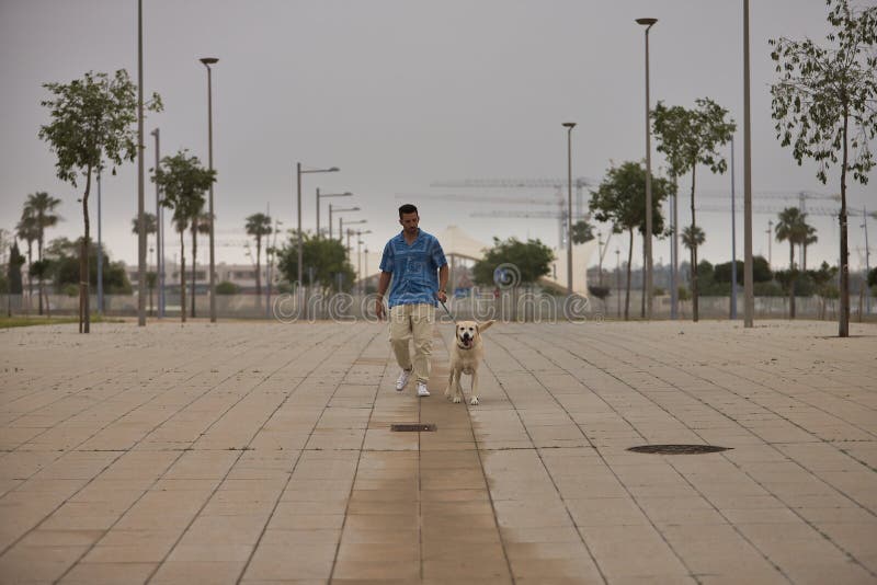 Joven hispano caminando solo por la calle con su perro temprano en la mañana. perros conceptivos animales de compañía amigos imágenes de archivo libres de regalías