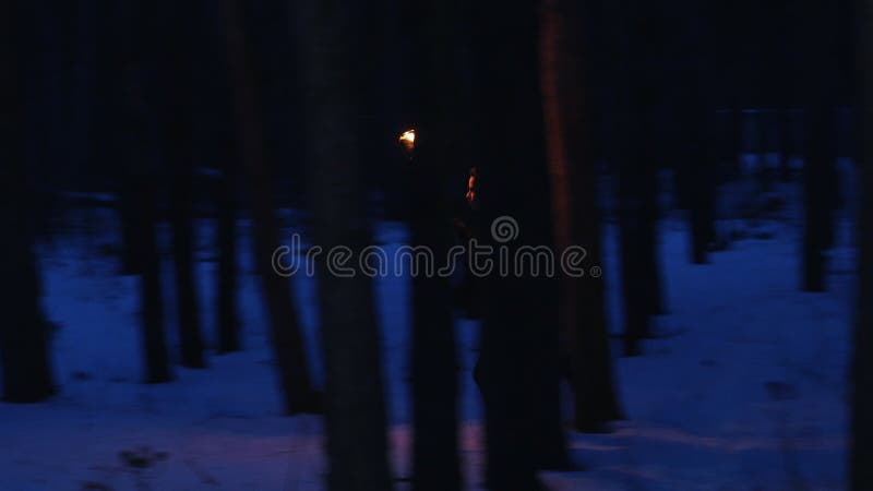 Joven mujer asustada con una antorcha que huye de algo en el bosque nocturno almacen de video