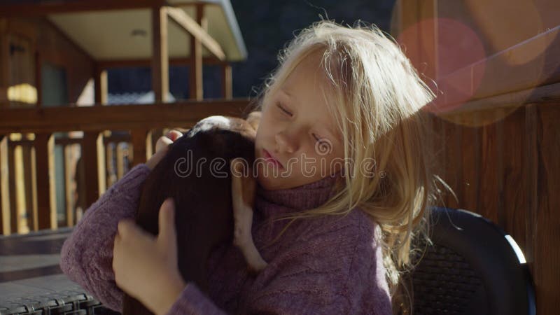 Joven rubia cradling petite chihuahua en suéter de lavanda compartiendo un momento íntimo en un balcón de barandilla de madera ilu almacen de metraje de vídeo