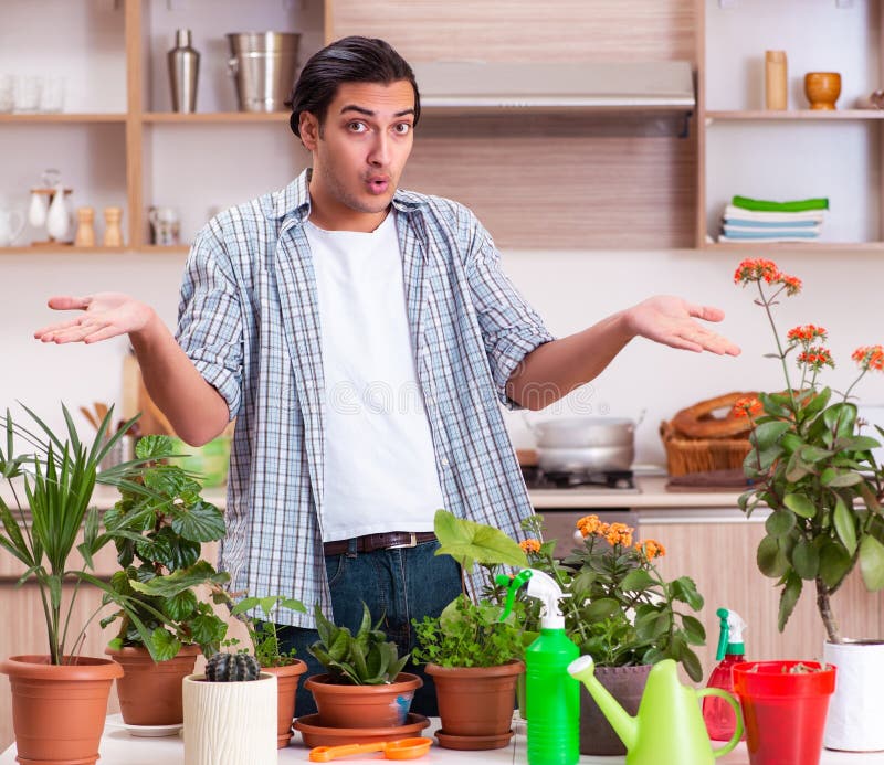 Joven y guapo hombre cultivando flores en casa fotos de archivo libres de regalías