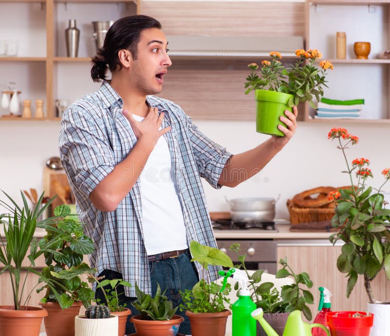 Joven y guapo hombre cultivando flores en casa foto de archivo