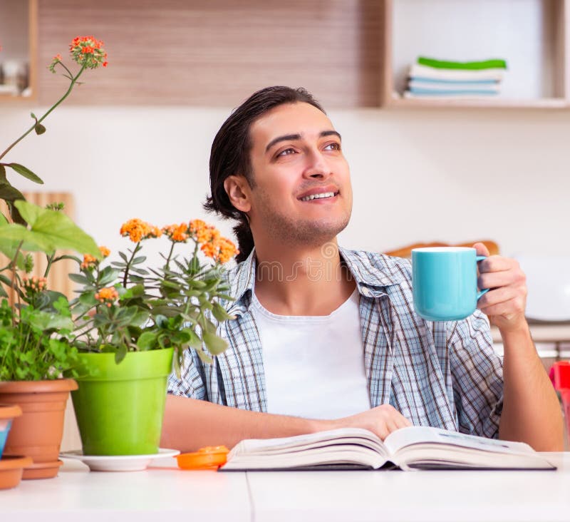 Joven y guapo hombre cultivando flores en casa imagen de archivo