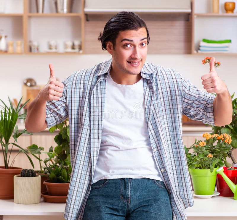 Joven y guapo hombre cultivando flores en casa imagen de archivo libre de regalías