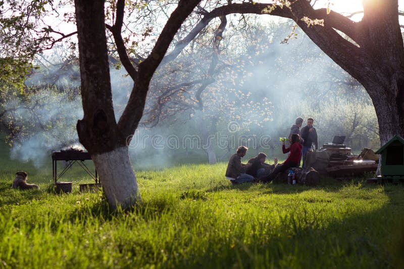 Jovens a fazer um churrasco no jardim fotos de stock