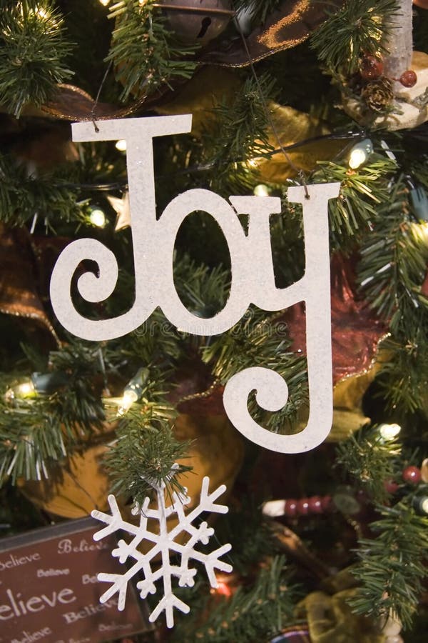 Joy and Snowflake Ornament royalty free stock image