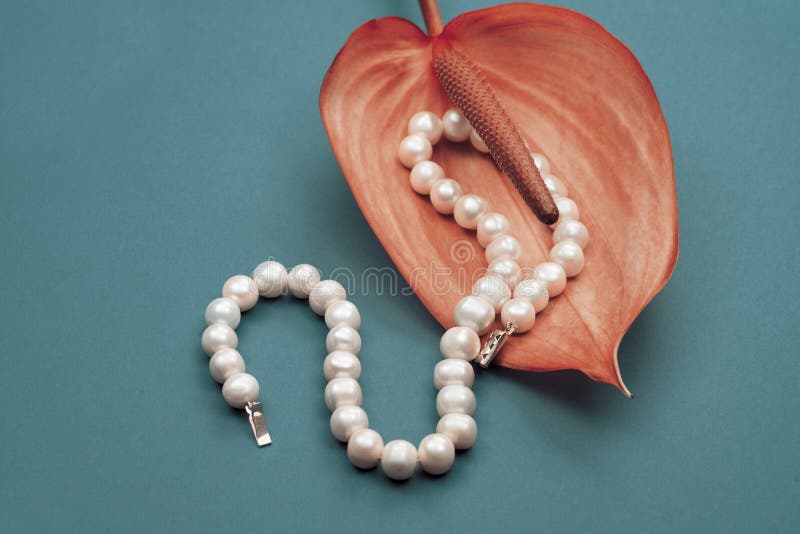 Joyería, collar hecho de la perla blanca y brillante fotos de archivo libres de regalías Joyería, collar hecho de la perla blanca y brillante fotos de archivo libres de regalías