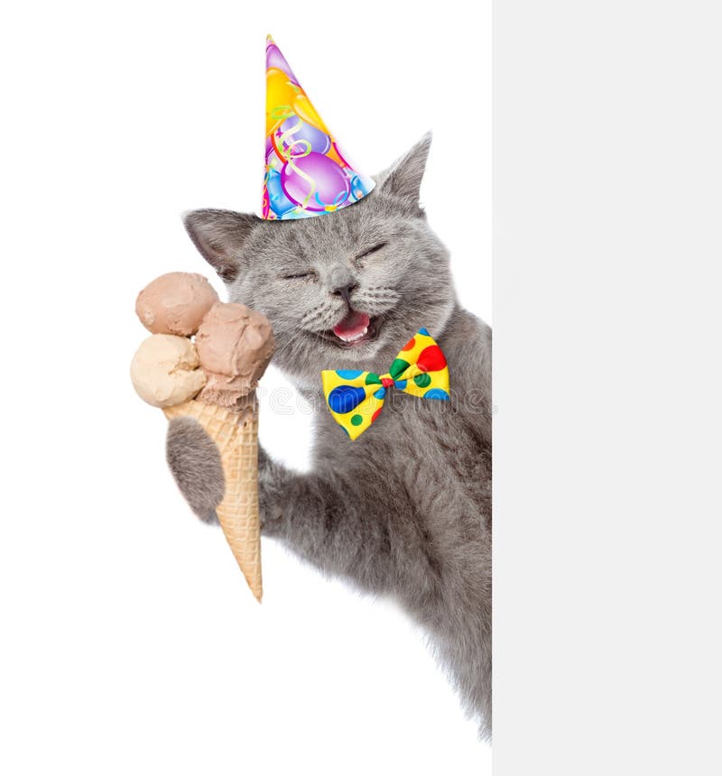 3 159 Chat De Joyeux Anniversaire Photos Libres De Droits Et Gratuites De Dreamstime