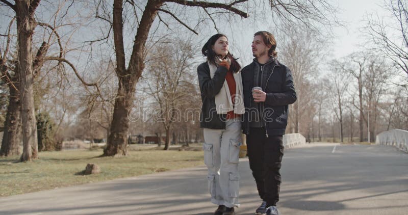 Joyeux couple amoureux Profitez d'une journée ensoleillée d'hiver ensemble dans le parc clips vidéos
