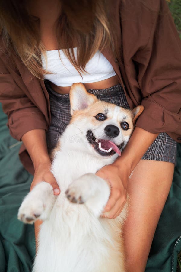 Joyeux jeunes femmes dans le parc, bouddles avec un corgi souriant pembroke welsh. Joyeuse joueuse jeune femme bouddles avec un pembroke sourire corgi chien dans le parc. photo ci-dessus