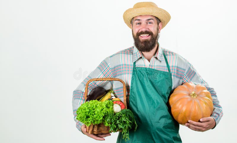 joyful mood sk?ggig mogen bonde s?songsbetonad vitaminmat Anv?ndbar frukt och gr?nsak Organisk och naturlig mat Lyckligt royaltyfria bilder joyful mood sk?ggig mogen bonde s?songsbetonad vitaminmat Anv?ndbar frukt och gr?nsak Organisk och naturlig mat Lyckligt royaltyfria bilder