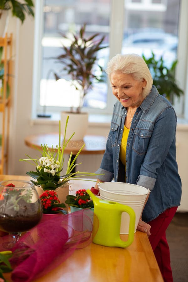 Joyful nice woman expressing her positive emotions stock photography Joyful nice woman expressing her positive emotions stock photography