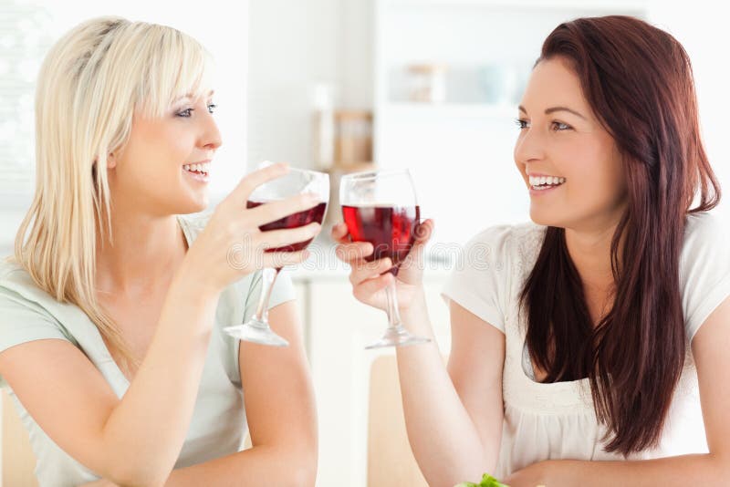 Joyful Women Toasting with Wine Stock Image - Image of meal, beverage ...