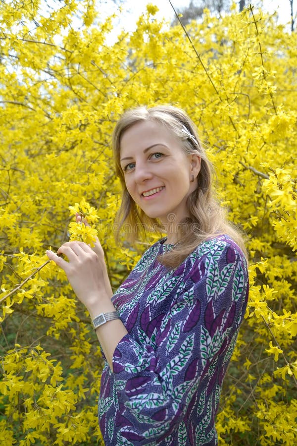 The joyful young woman against the background of the blossoming forzition. Portrait royalty free stock photos The joyful young woman against the background of the blossoming forzition. Portrait royalty free stock photos