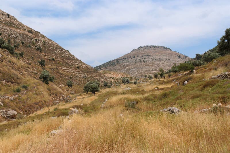 Judea mountain landscape