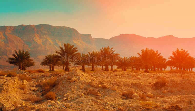 Judean desert in Israel at sunset