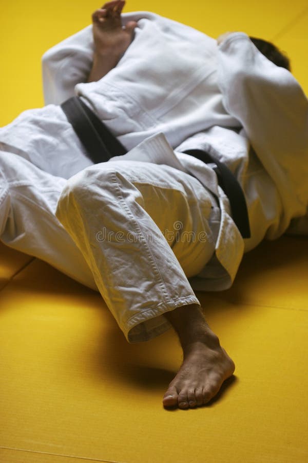judo самолет-истребителей стоковое фото judo самолет-истребителей стоковое фото