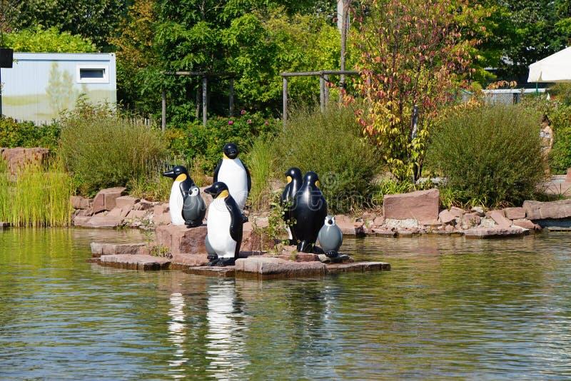 Juego de pingüinos foto de archivo libre de regalías Juego de pingüinos foto de archivo libre de regalías