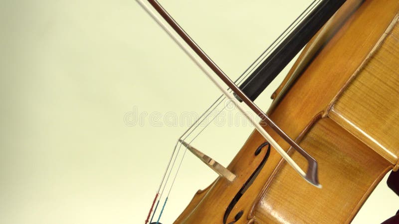 Jugando el cierre del violoncelo para arriba Fondo blanco