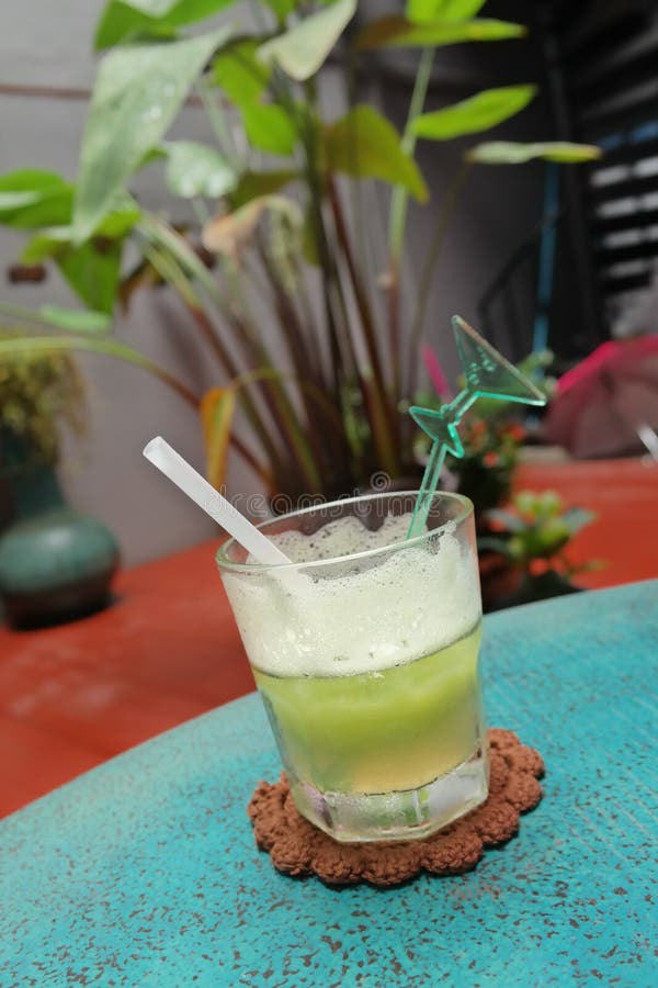 Juice Cocktail Fruit Vegetable Stock Photo Image of meal, wine 225440420