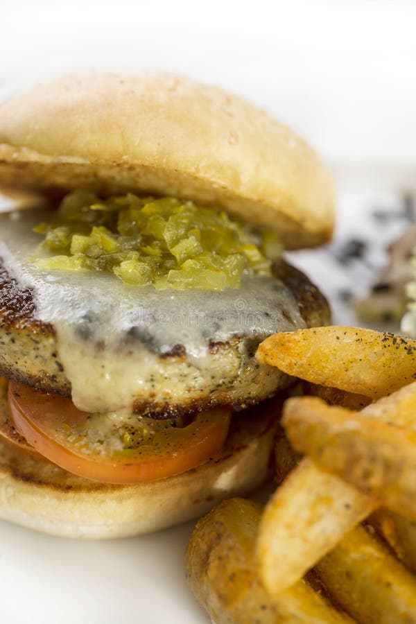 Juicy beef burger stock photo. Image of cooked, delicious 38803580