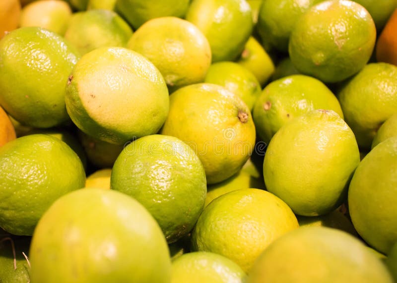 Juicy Fresh Limes at Market Stock Image Image of pile, bright 28406407