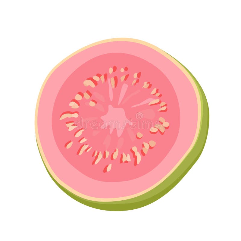 Pink Thin Slice of Guava. Isolated Vector Sliced Fruit in Flat Style
