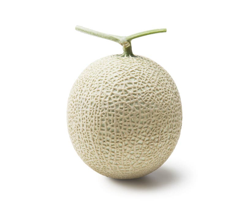 Honeydew melon stock photo. Image of fruit, diet, dessert 35282874
