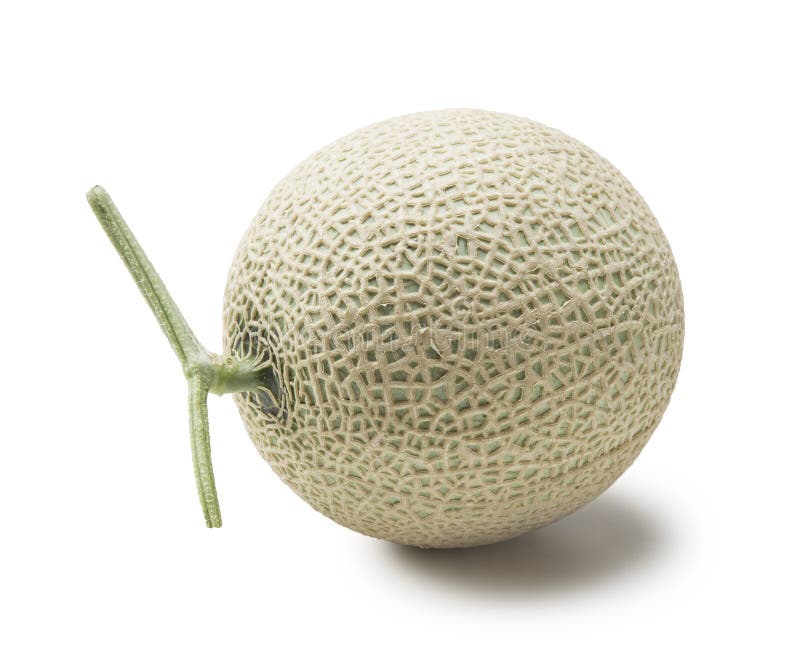 A Juicy Honeydew Melon from Japan on a White Background. Stock Image