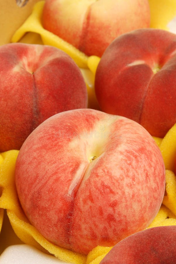 Juicy Peach stock photo. Image of gourmet, background 19969808