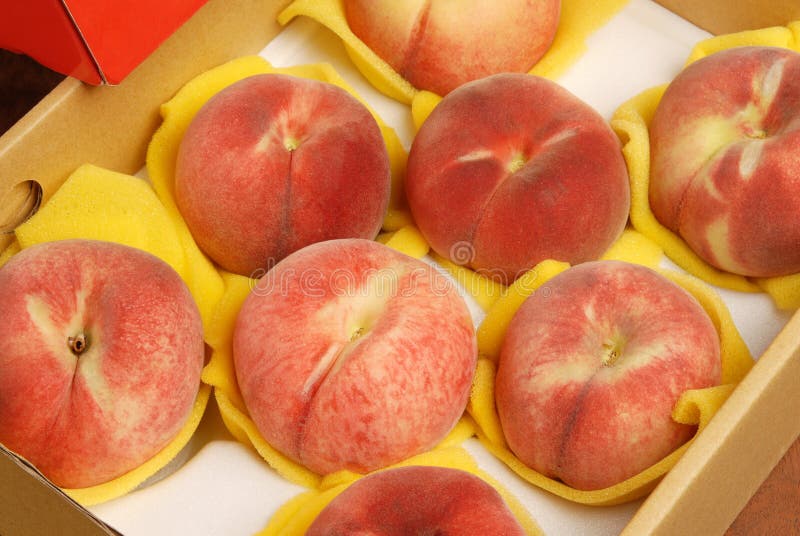 Juicy Peach stock photo. Image of diet, full, eating 19843010