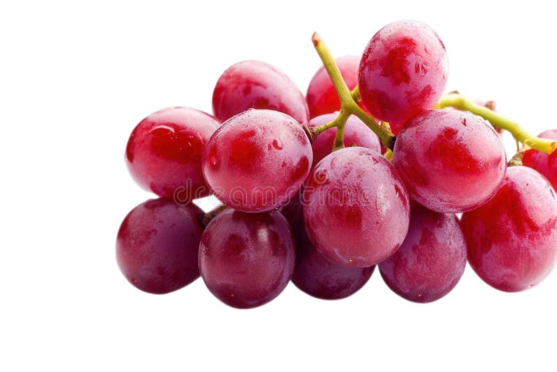 Juicy Red Grapes Bunch izolowany na przezroczystym tle ilustracja wektor