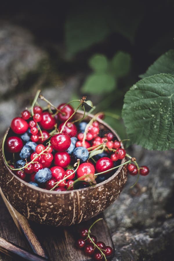 Juicy ripe berries in coconut bowl on nature background with copy space