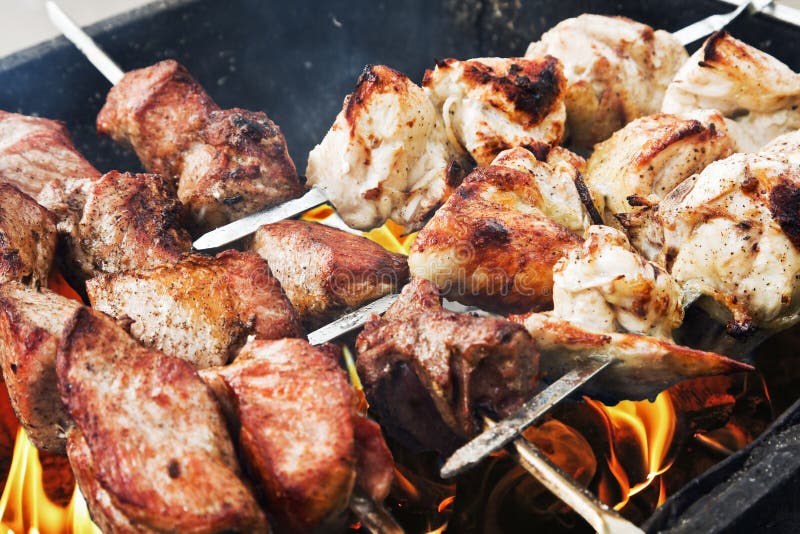 Juicy Slices of Pork and Chicken Cooked Over a Fire Stock Image - Image ...