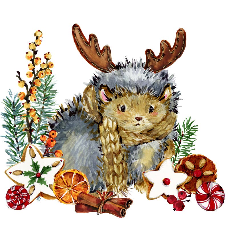 Jul med skogsdjur vintersemester söt hedgehog vattenfärgsillustration i teckningsstil royaltyfri illustrationer
