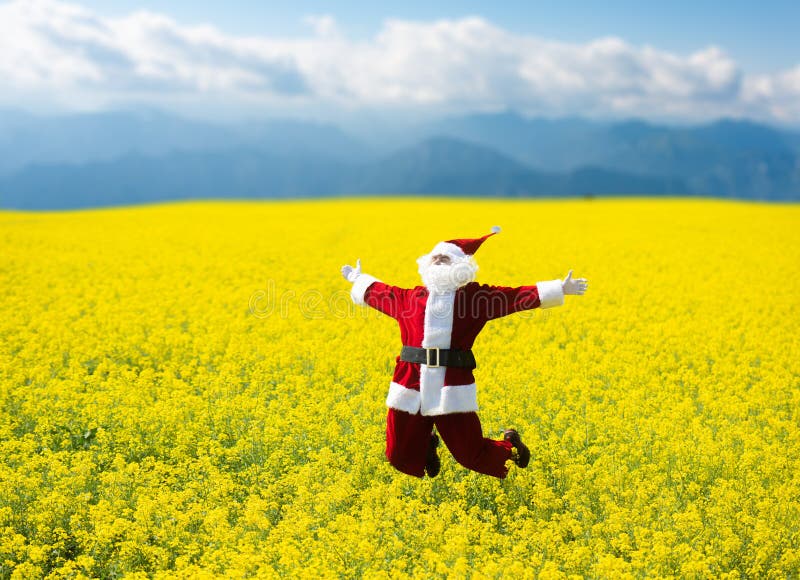 Jul Santa Claus som hoppar, i att blomma det gula fältet royaltyfria foton