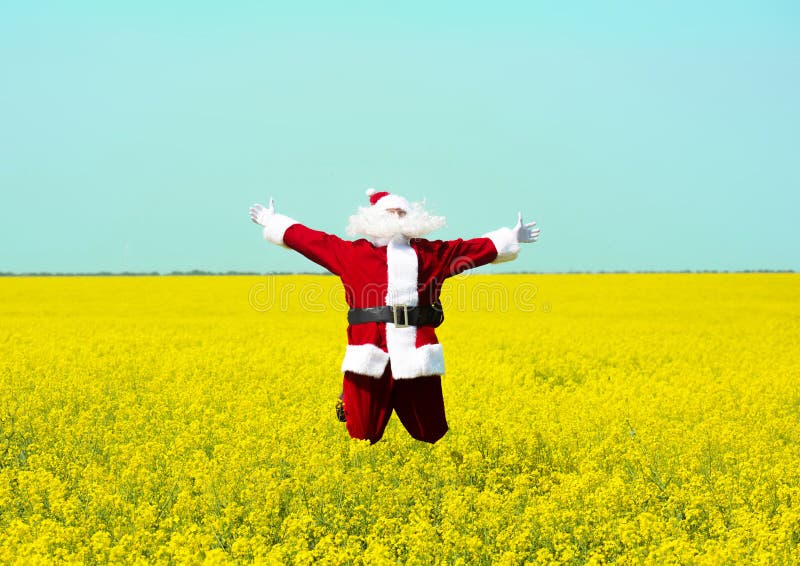 Jul Santa Claus som hoppar, i att blomma det gula fältet royaltyfria foton