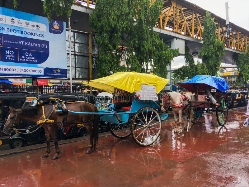Tongahorse Cart at Kalyan railway station on monsoon Maharashtra INDIA royalty free stock photo Tongahorse Cart at Kalyan railway station on monsoon Maharashtra INDIA royalty free stock photo