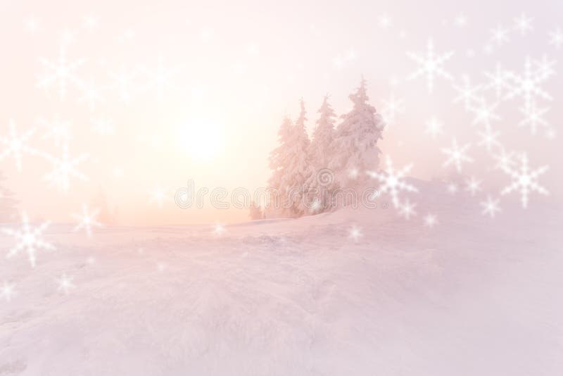 Julbakgrund med vinterlandskap i bergen under härligt soluppgångljus för sunrise/ royaltyfri bild Julbakgrund med vinterlandskap i bergen under härligt soluppgångljus för sunrise/ royaltyfri bild