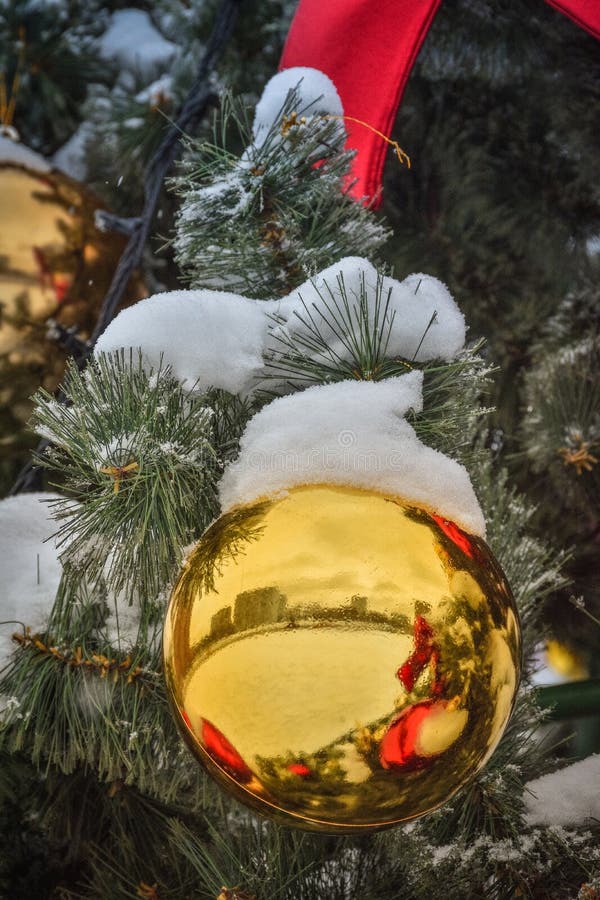 Julboll p? jultree arkivfoto Julboll p? jultree arkivfoto