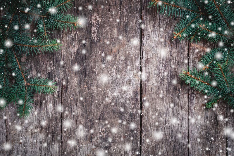 Julgran förgrena sig på träbakgrund Sammansättning för Xmas och för lyckligt nytt år arkivfoto