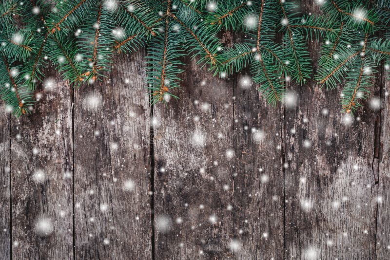 Julgran förgrena sig på träbakgrund Sammansättning för Xmas och för lyckligt nytt år royaltyfri bild