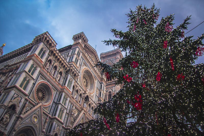 Julgran nära Santa Maria del Fiore, den huvudsakliga kyrkan av Florence royaltyfri bild Julgran nära Santa Maria del Fiore, den huvudsakliga kyrkan av Florence royaltyfri bild