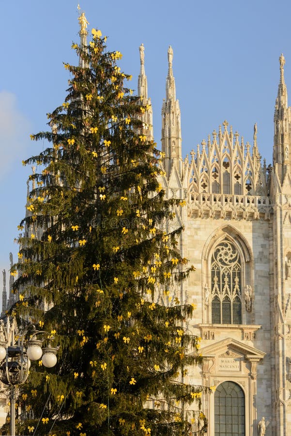 Julgran och domkyrka, Milan royaltyfria bilder