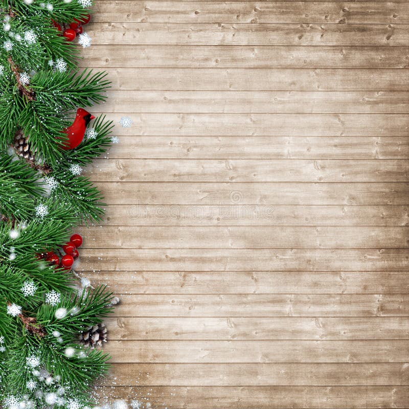 Julgranträd med en kardinal på en träbakgrund royaltyfri fotografi Julgranträd med en kardinal på en träbakgrund royaltyfri fotografi