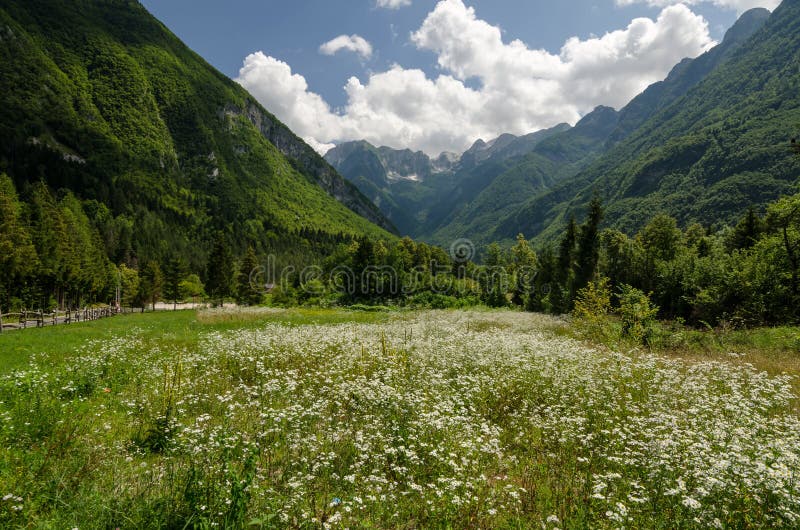 Julian Alps dal fiume di Soca, Kal Koritnica, parco nazionale di Triglav, Slovenia, Europa fotografia stock libera da diritti Julian Alps dal fiume di Soca, Kal Koritnica, parco nazionale di Triglav, Slovenia, Europa fotografia stock libera da diritti