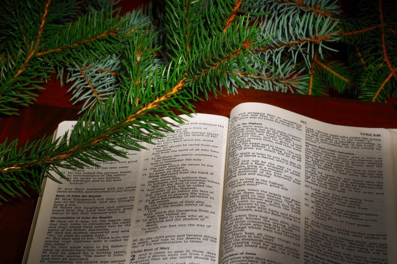 Bible open to the Christmas passage of Luke 2 with evergreen sprigs. Bible open to the Christmas passage of Luke 2 with evergreen sprigs