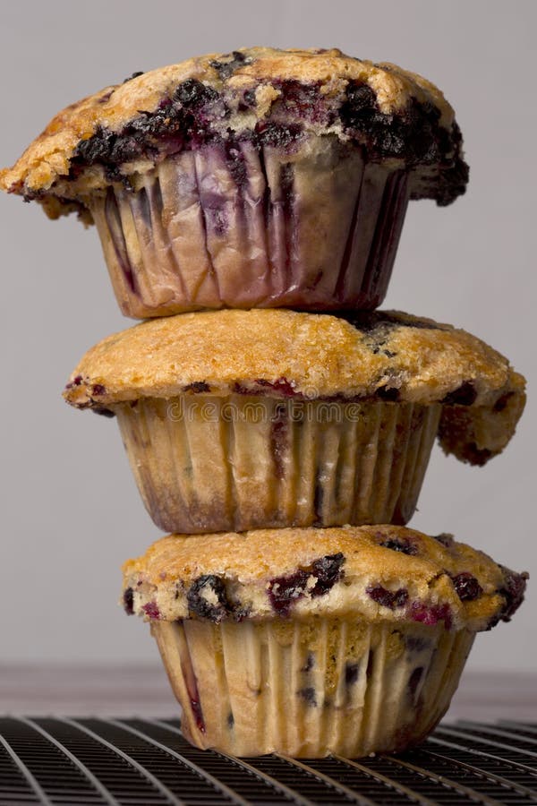 Easy Homemade Jumbo Blueberry Muffin Recipe 2024 AtOnce