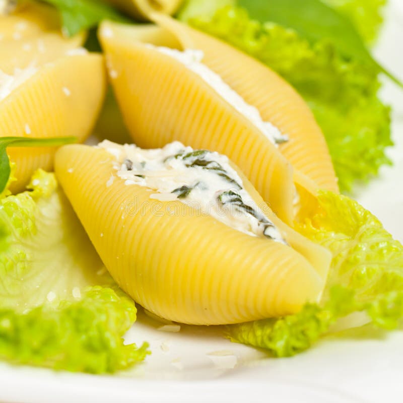 Jumbo Shells Italian Pasta Conchiglioni Konkiloni Stuffed with Beef Meat and Spinach. Dark