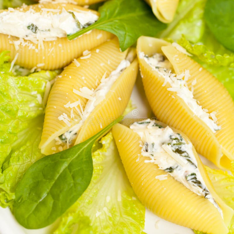 Jumbo Shells Italian Pasta Conchiglioni Konkiloni Stuffed with Beef Meat and Spinach. Dark